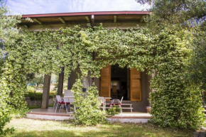 Casa Mia -Per Sentirti a Casa Tua - Giardino, Parcheggio e Jacuzzi